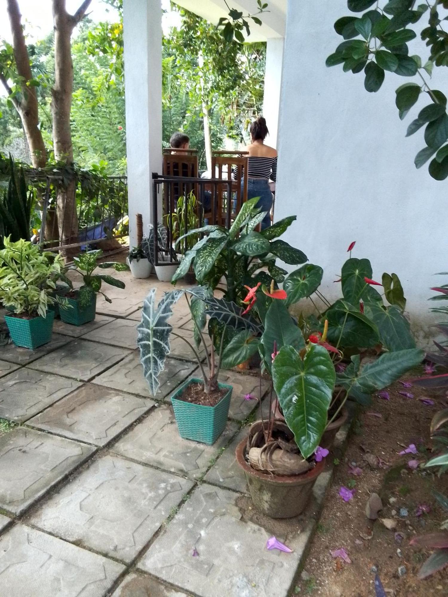 Charming View Homestay Ella Pokoj fotografie